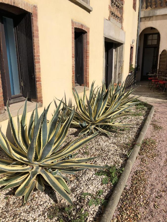 Appartement Chez Carca, Au Pied De La Cite à Carcassonne Extérieur photo